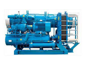xrv complex 2
